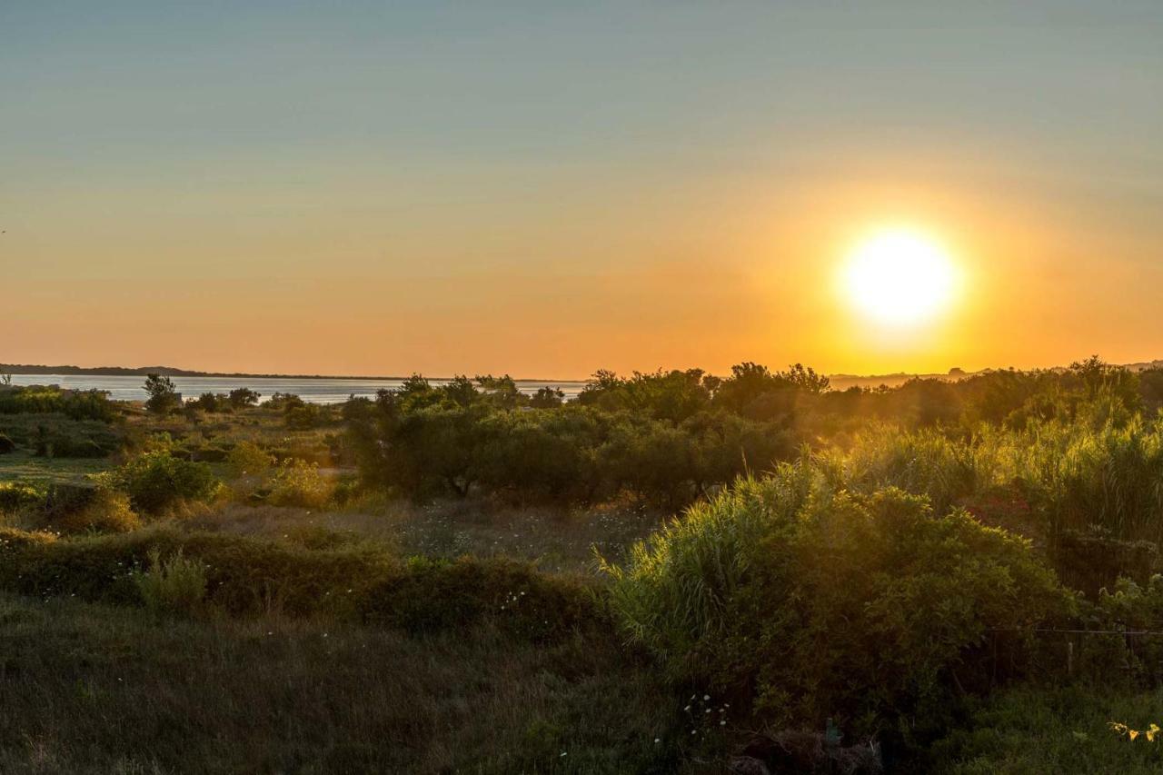 Villa Nissos Línia Buitenkant foto